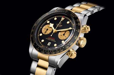 tudor wotch 2019|tudor watch black bay.